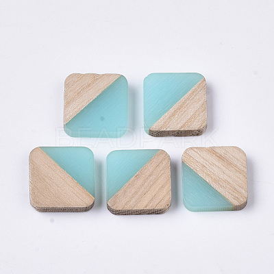 Resin & Walnut Wood Cabochons RESI-S358-A-90-1