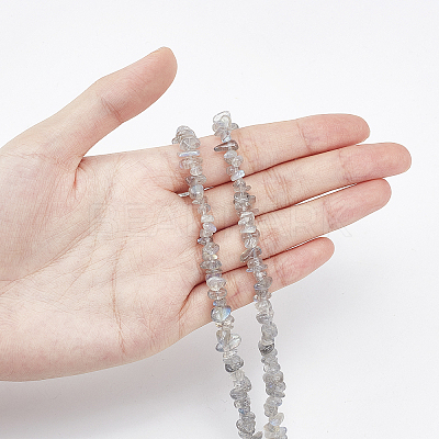 Natural Labradorite Bead Strands G-GL0001-03-1