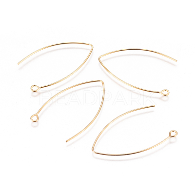 PVD Vacuum Plating 304 Stainless Steel Earring Hooks STAS-I120-23B-G-1