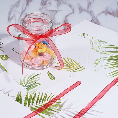 Organza Ribbon RS6mmY026-1