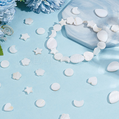120Pcs 6 Styles Natural Shell Beads SHEL-GO0001-07-1