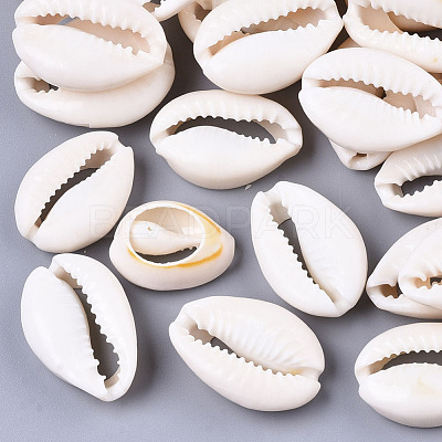Natural Cowrie Shell Beads SSHEL-N034-34-1