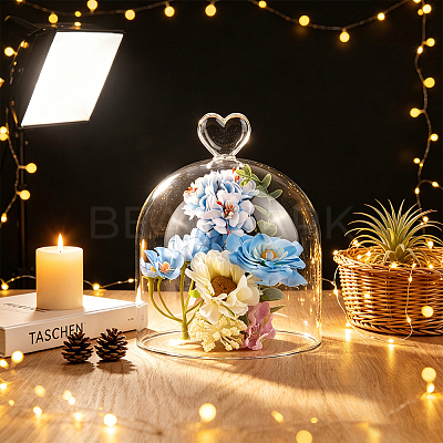 Heart Arch Glass Dome Cover DIY-WH0933-20E-1