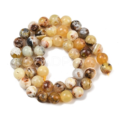 Natural Yellow Opal Beads Strands G-G992-A02-A-1