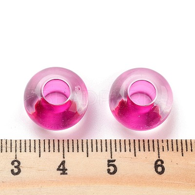 Transparent Acrylic European Beads TACR-P009-C01-06-1