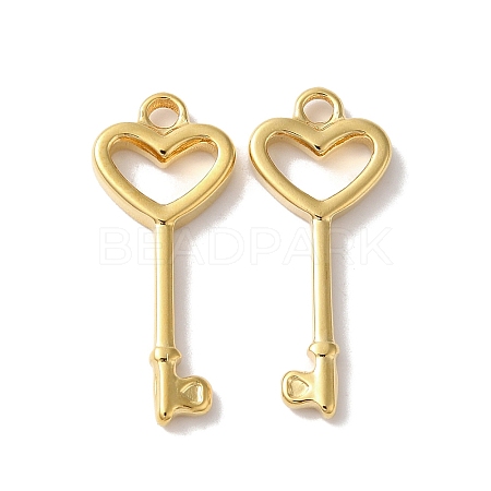 Ion Plating(IP) 304 Stainless Steel Pendants STAS-A098-05G-1