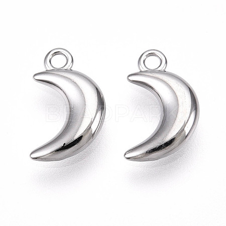 304 Stainless Steel Charms STAS-N109-138P-1