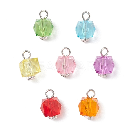 Transparent Acrylic Pendants PALLOY-JF04258-02-1
