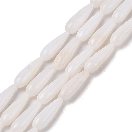 Natural Freshwater Shell Beads Strands SHEL-A004-03A-1