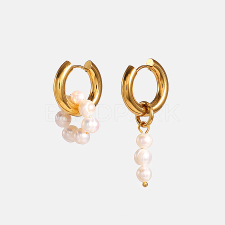 304 Stainless Steel Hoop Earrings FS-WG1861C-04-1
