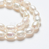 Natural Cultured Freshwater Pearl Strands A23WM011-01-3