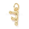 Brass Pendants KK-K165-04F-2