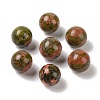 Natural Unakite No Hole Sphere Beads G-K353-04B-05-1