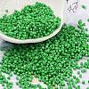 Baking Paint Glass Seed Beads SEED-S042-05B-56-1