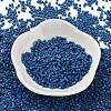 Baking Paint Glass Seed Beads SEED-S042-05B-75-2