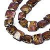 Natural Freshwater Shell Beads Strands SHEL-N026-173-3