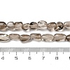 Natural Smoky Quartz Beads Strands G-H085-D01-01-5
