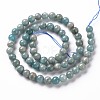 Natural Amazonite Beads Strands G-S333-6mm-005-2