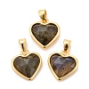 Natural Labradorite Charms G-E538-02G-02-1