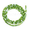 Dyed Natural Trochid Shell/Trochus Shell Beads Strands SSHEL-T017-13C-2