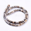 Natural Fossil Coral Beads Strands G-D0020-13B-2