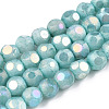 Opaque Frosted Glass Beads Strands EGLA-N006-076C-1