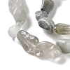 Natural Eagle Eye Stone Beads Strands G-P497-01C-14-4