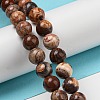 Natural Gemstone Beads Strands G-R494-A22-03-4