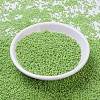 MIYUKI Round Rocailles Beads SEED-G007-RR0479-2