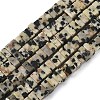 Natural Dalmatian Jasper Beads Strands G-A280-C07-01-3