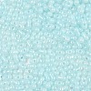 Baking Paint Glass Seed Beads SEED-L011-09A-08-3