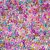 Baking Paint Transparent Glass Seed Beads X-SEED-N006-05-3