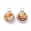 Natural Picture Jasper Charms G-K325-01P-06-2