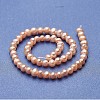 Natural Cultured Freshwater Pearl Beads Strands PEAR-P060-22B-2