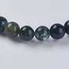 Natural Indian Agate Beads Strands G-G515-10mm-05-3