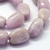 Natural Kunzite Beads Strands G-K285-15A-3