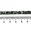 Natural African Turquoise (Jasper) Beads Strands G-Z045-A10-01-5