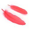 Goose Feather Costume Accessories FIND-Q044-04-2