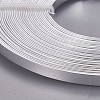 Aluminum Wire AW-WH0002-01B-5mm-2
