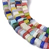 Handmade Lampwork Beads Strands LAMP-Q037-02A-09-3