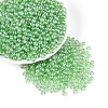Transparent Glass Seed Beads SEED-N007-33A-05-1
