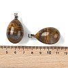 Natural Tiger Iron Pendants GG-K002-08A-05-3