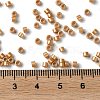 Baking Paint Glass Seed Beads X-SEED-S042-15A-13-4