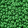 Baking Paint Glass Seed Beads X1-SEED-B001-02A-05-3