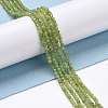 Natural Olive Jade Beads Strands G-D463-13A-4