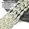 Glass Pearl Beads X-HY-AB426-EM099-3