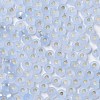 8/0 Glass Seed Beads SEED-Z001-C-E09-3