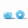 6/0 Glass Seed Beads SEED-S058-A-F298-5