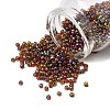 8/0 Round Glass Seed Beads SEED-J011-F8-171-2
