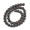 Natural Labradorite Beads Strands X-G-G0003-C03-6mm-3